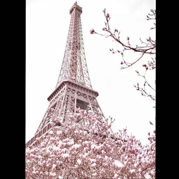 “Cherry Blossoms, Paris, and Audrey Hepburn”~rare pink room wall, art home decor - Picture 8 of 11